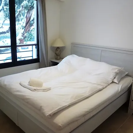 Elegant Two Bedroom With Modern Design And Terrace Close To Beaches And Center 546 Apartment Cannes